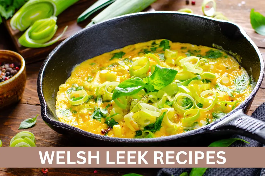 Welsh Leek Recipes