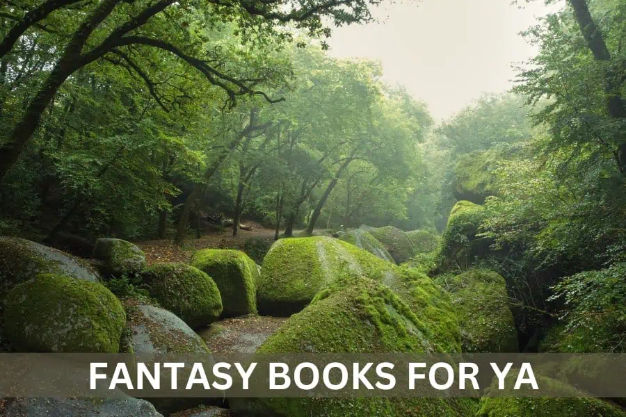 Fantasy Books for 14 Year Olds